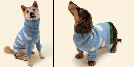 Silver Linings Dog Sweater