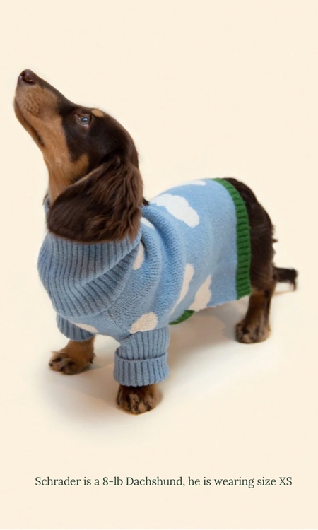 Dog Sweater