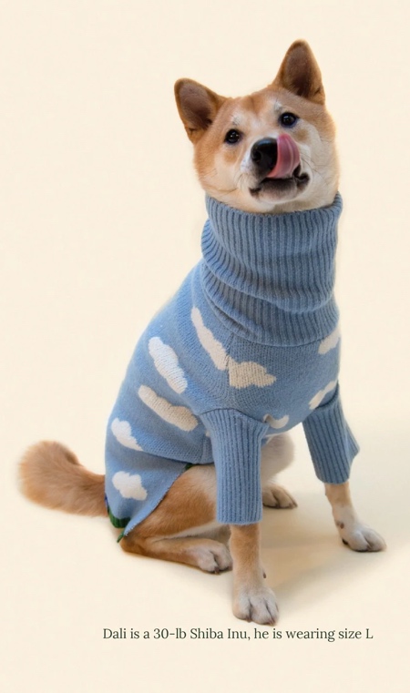 Pet Sweater