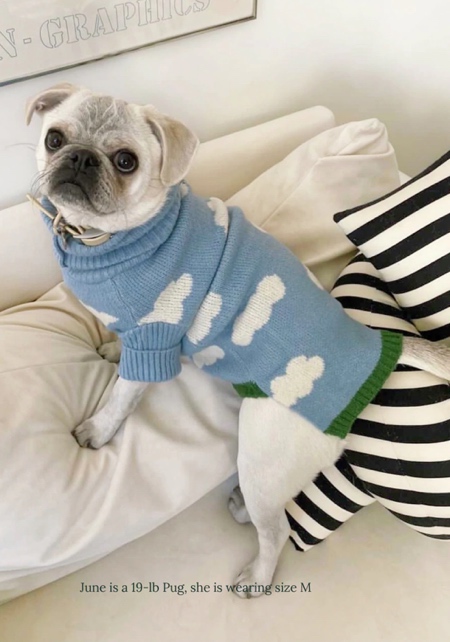 Silver Linings Pet Sweater