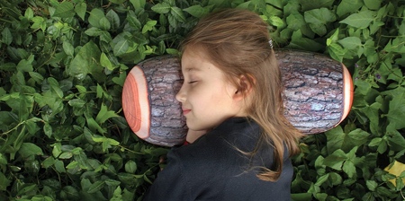 Log Pillow