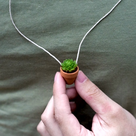 Wearable Plant