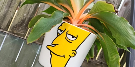 Sideshow Bob Planter