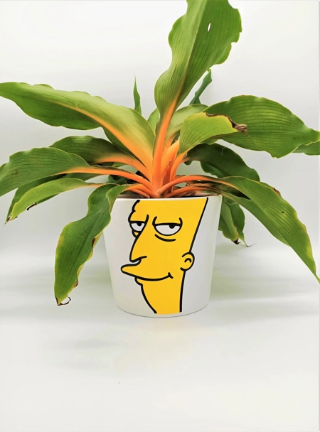 Sideshow Bob Plant Pot