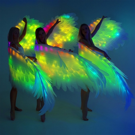 LED Lights Angel Wings