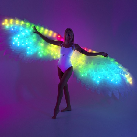 LED Light Angel Wings