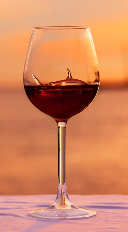 Shark in Wine Glass