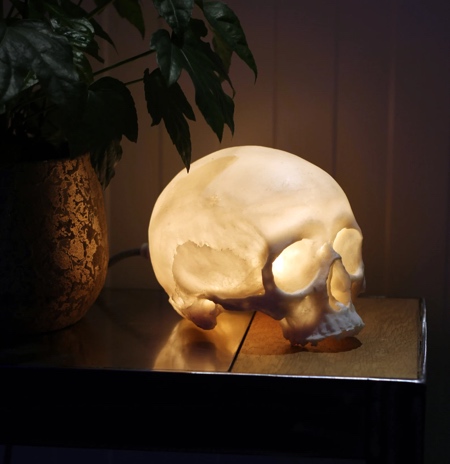 Skull Lamp