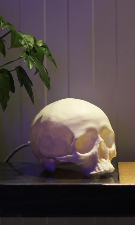 Realistic Human Skull Lamp