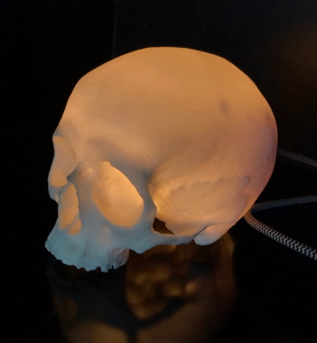 Realistic Skull Lamp