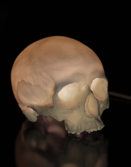 Human Skull Shaped Lamp