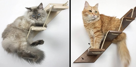 Cat Stairs
