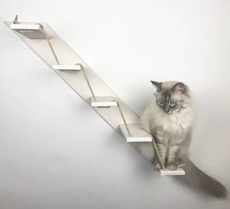 Staircase for Cats