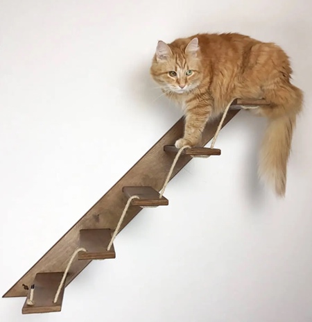 Stairs for Cats