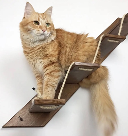 Wall Mounted Cat Stairs