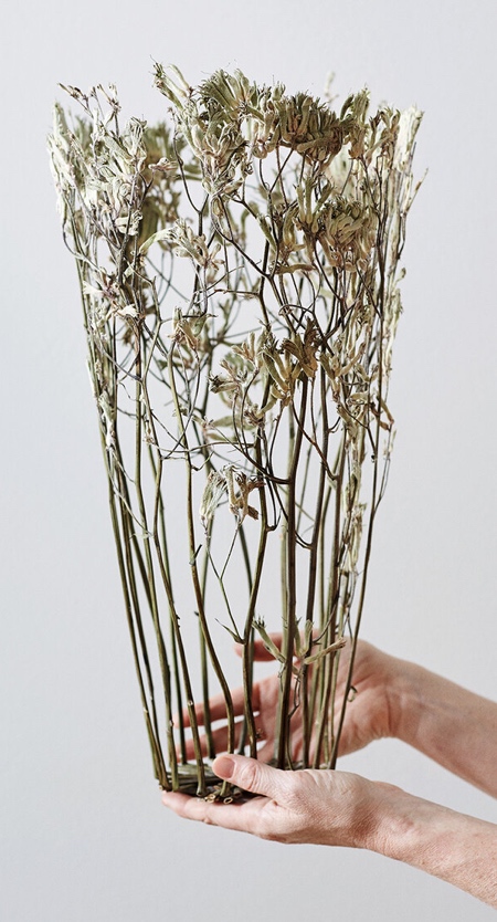 Vase Made of Dry Flowers