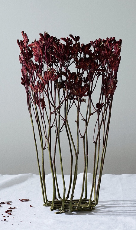 Vase Made of Dried Flowers