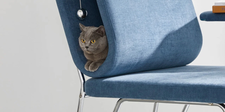 Cat Lounge Chair