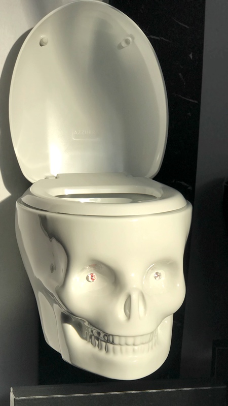 Human Skull Shaped Toilet