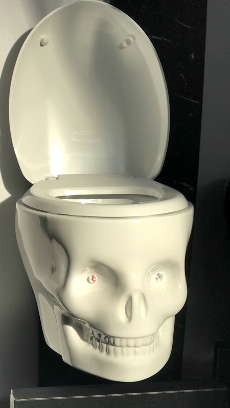 https://www.toxel.com/wp-content/uploads/2022/09/skulltoilet02.jpg