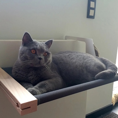 Pet Radiator Hammock