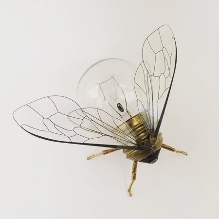 Light Bulb Insect