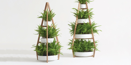 Plants Shelf Christmas Tree