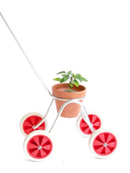 Alice Kim Plant Stroller