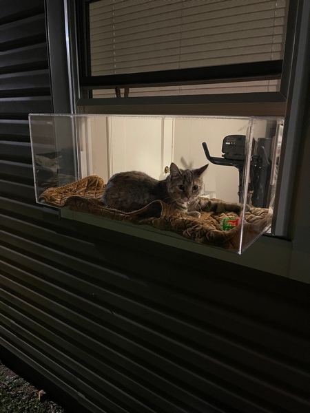 Window Balcony for Cats