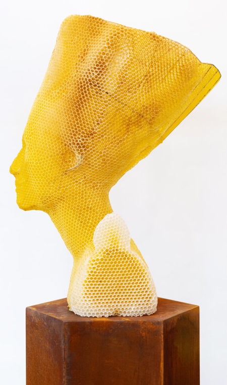 Honeycomb Nefertiti