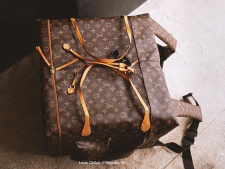 Louis Vuitton Monogram Canvas Duck Bag