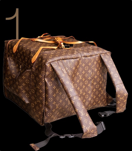 Louis Vuitton Delivery Bag