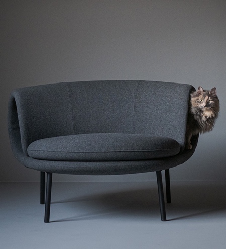 صندلی مدرن که هم برای انسان و هم برای گربه