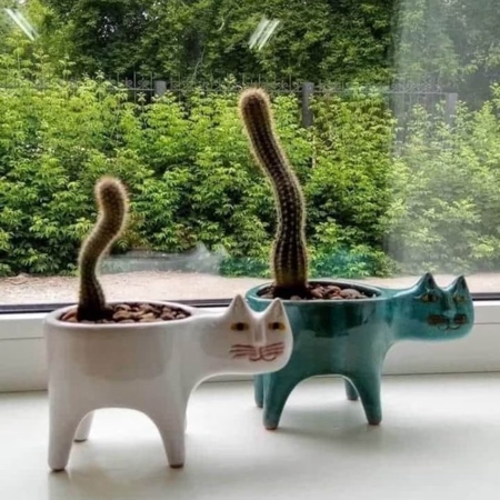 Cactus Tail Cat Planters