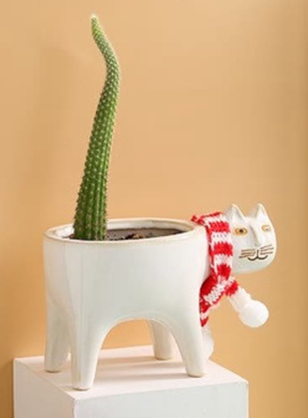 Cat Tail Cactus Planter
