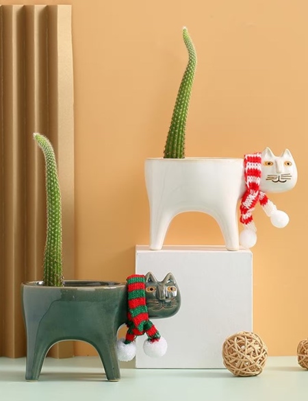 Cat Tail Cactus Planters