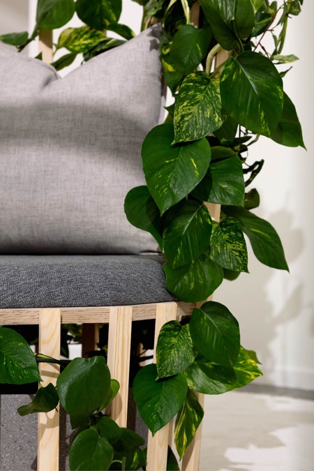 Green Plants Chair