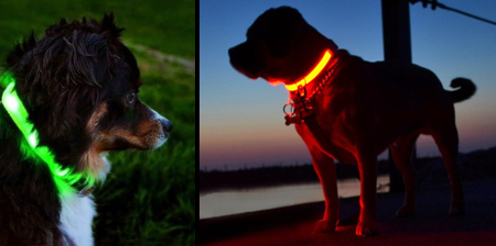 Illuminated Dog Collar