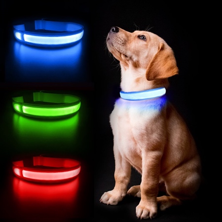 LED Dog Collar