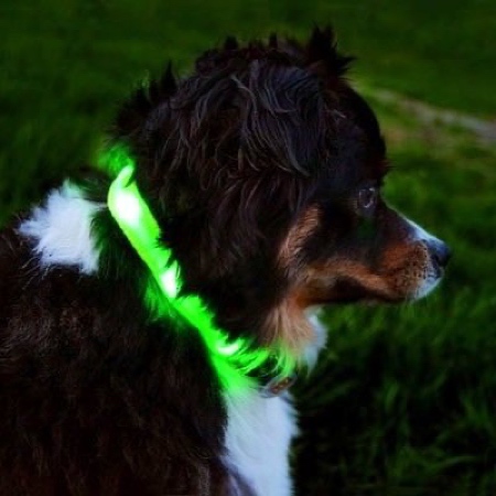 LED Pet Collar