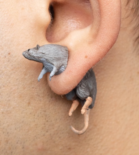 Rat Earring