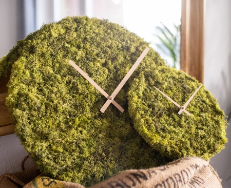 Island Moss Wall Clock