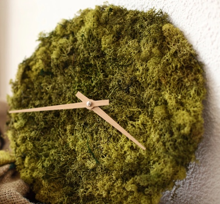 Moss Wall Clock