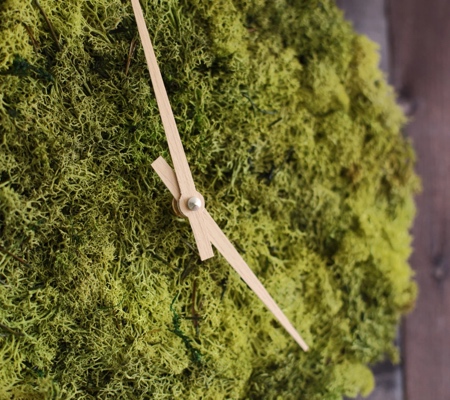 Wall Clock made from Real Moss