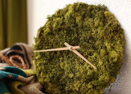 Clock made from Moss