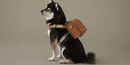 Dog Backpack by Tsuchiya Kaban