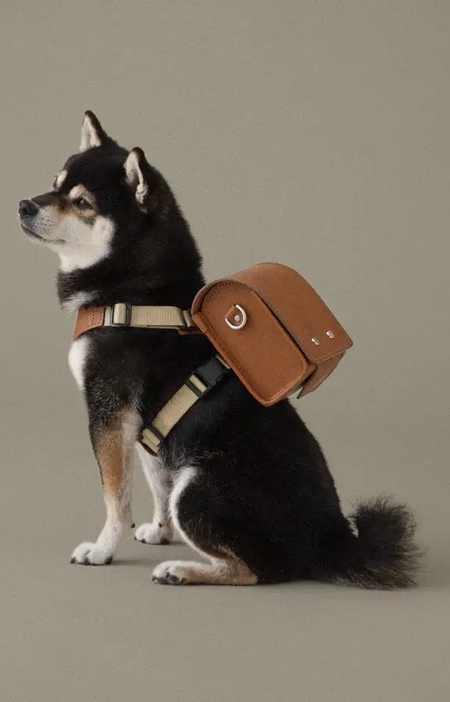 کیف مدرسه مینیاتوری ژاپنی که برای سگ شما