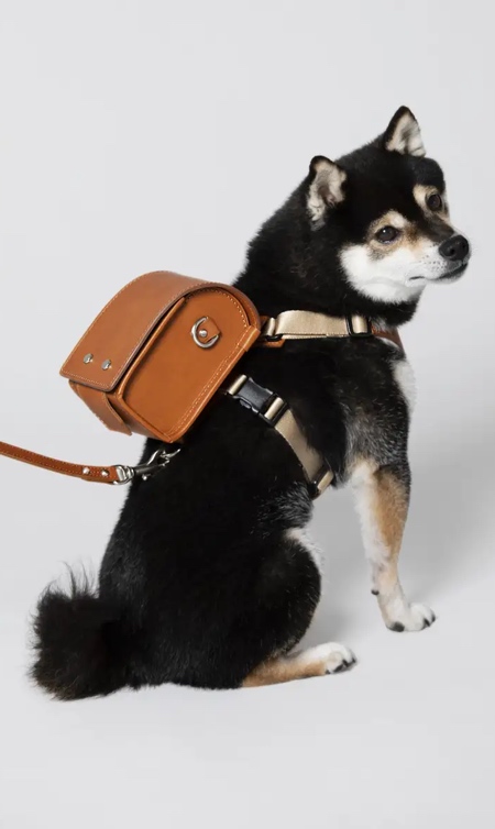 Dog Backpack