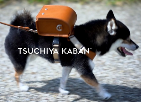 Tsuchiya Kaban Dog Backpack