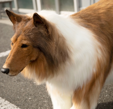 Realistic Human Dog Costume